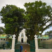 Cemitério Campo Santo realiza ação especial para acolher visitantes no Dia das Mães 
